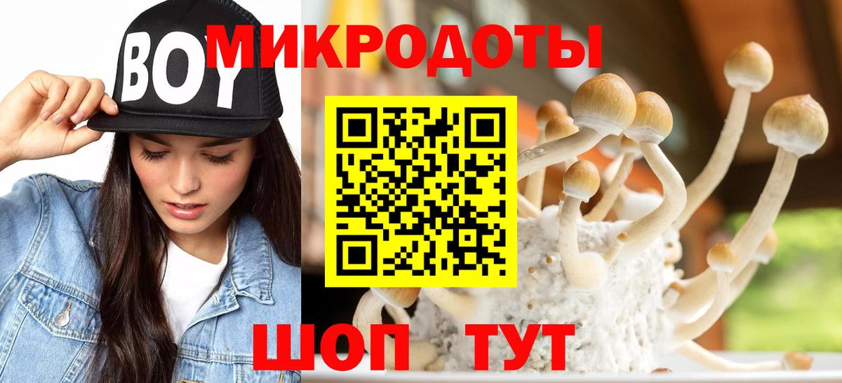 Галлюциногенные грибы мицелий Выкса